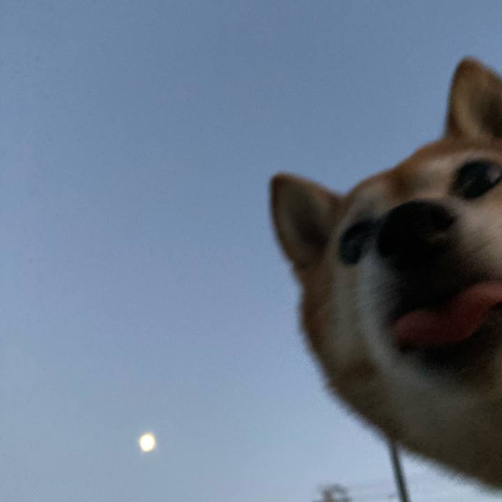 72ae3560 7e47 43e0 be4b 75850ad06b65 1636978710497