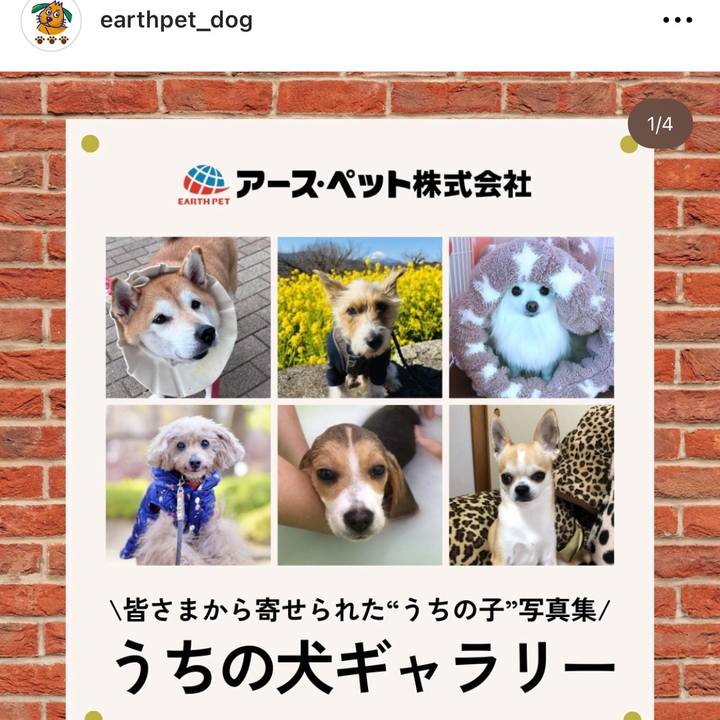 72ae4679 68ee 4b2e a229 03f26b7558f2 1707273049338