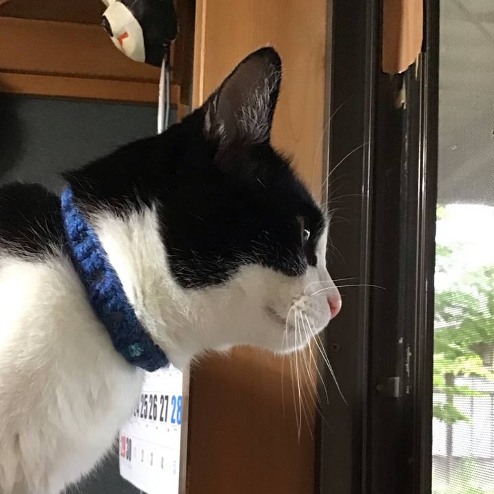 72ae91c0 7e3b 40fc b0ed 26c17c9fd292 1749633846520