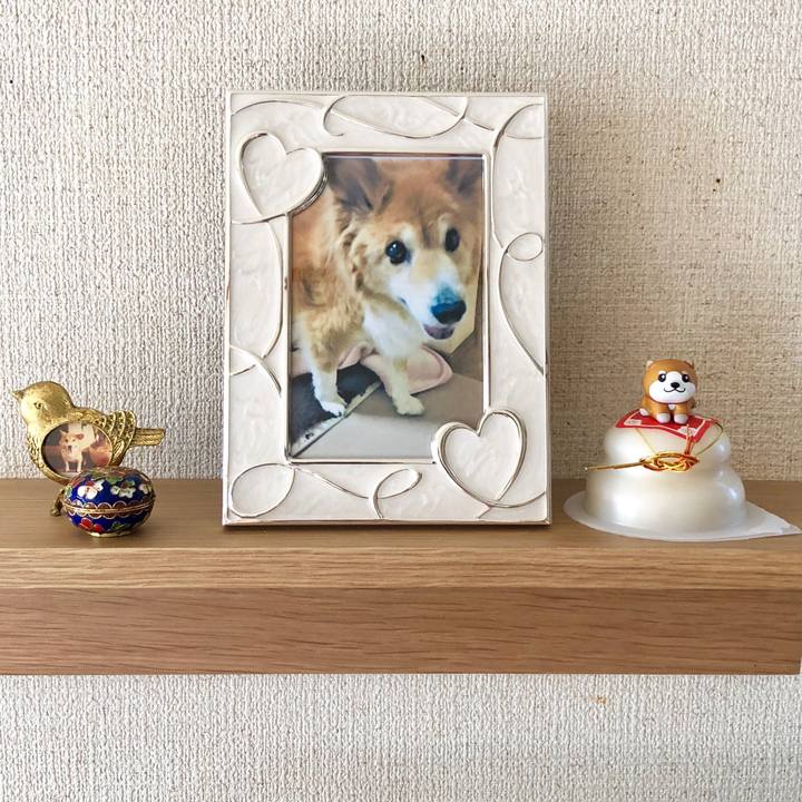 72ae91f9 8b24 4066 b8c1 ddccb78eb8a9 1514340327998