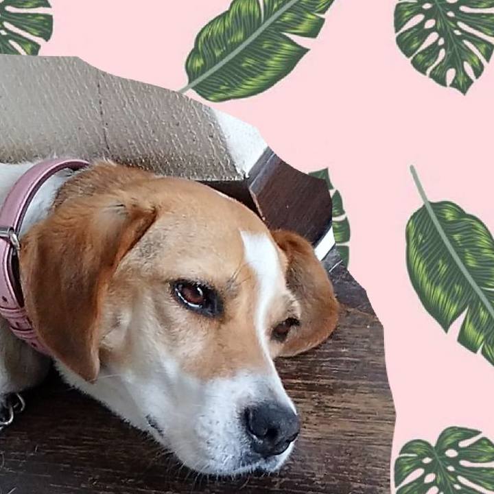 72aef6a1 f767 4212 baec 9e9502aa298c 1593143573625