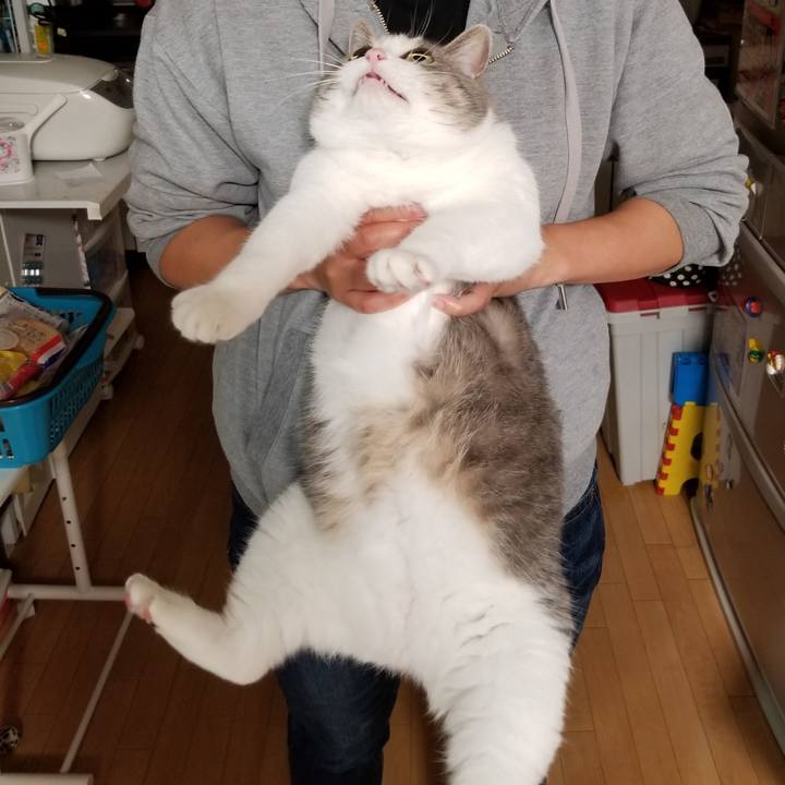 72af0c5f 5404 400b 802e 9650a3bd4edb 1596028347273