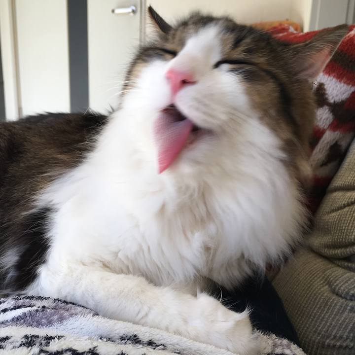 72af65c8 4c14 4d63 bbd1 de5e2644212a 1514341777747