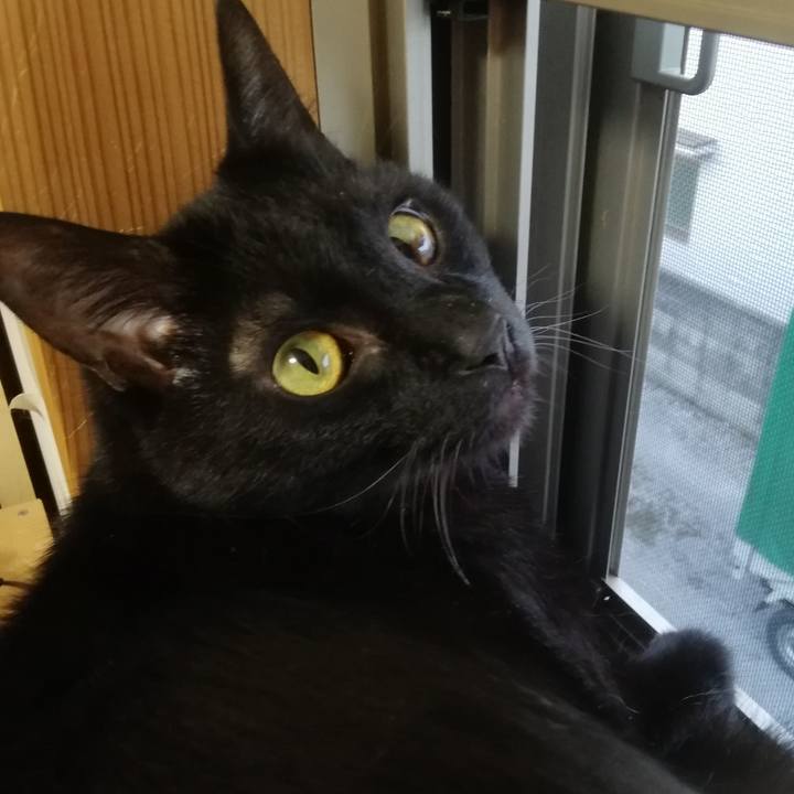 72afc43b afe9 44be 9cf0 72f1055f8482 1685789550403