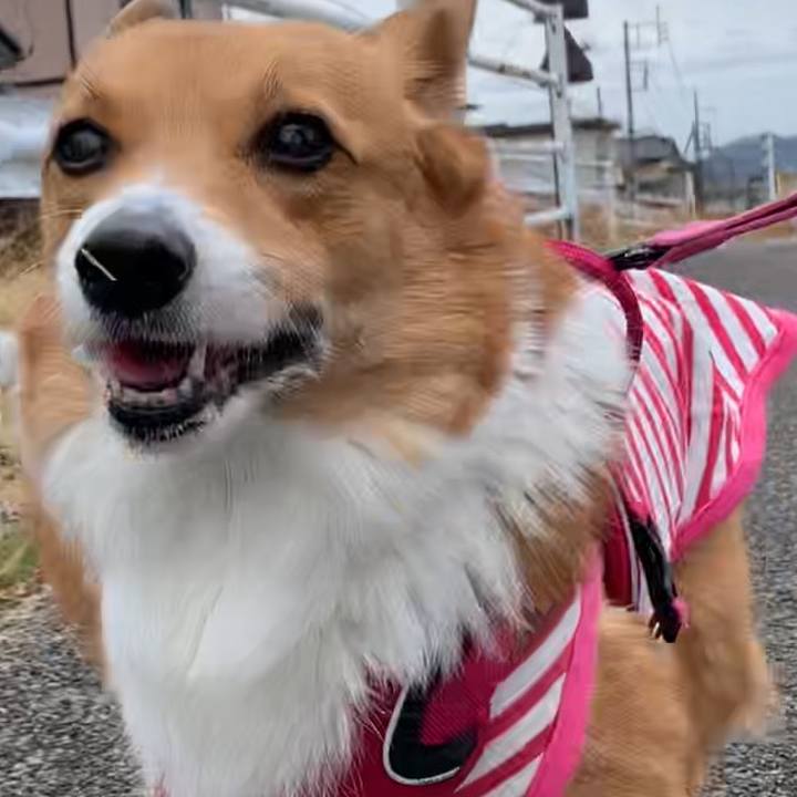 72afcac7 9b2c 48ab 905b 08bc363b0e8e 1673665265694