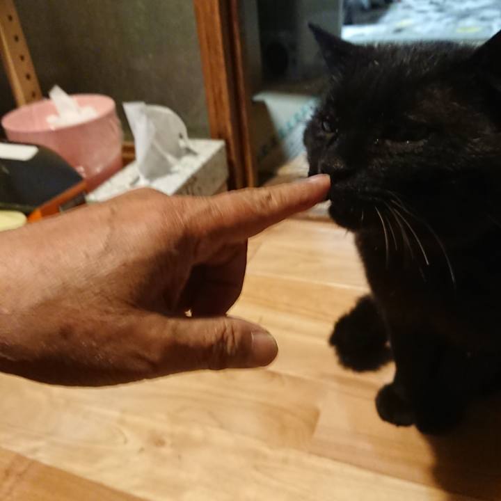 72afd69c fc00 4ff9 9a48 434668813bae 1620902137958