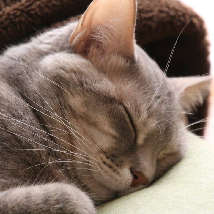 72aff1d9 58ae 401f 837b 8c7e31a82c49 1519446421477