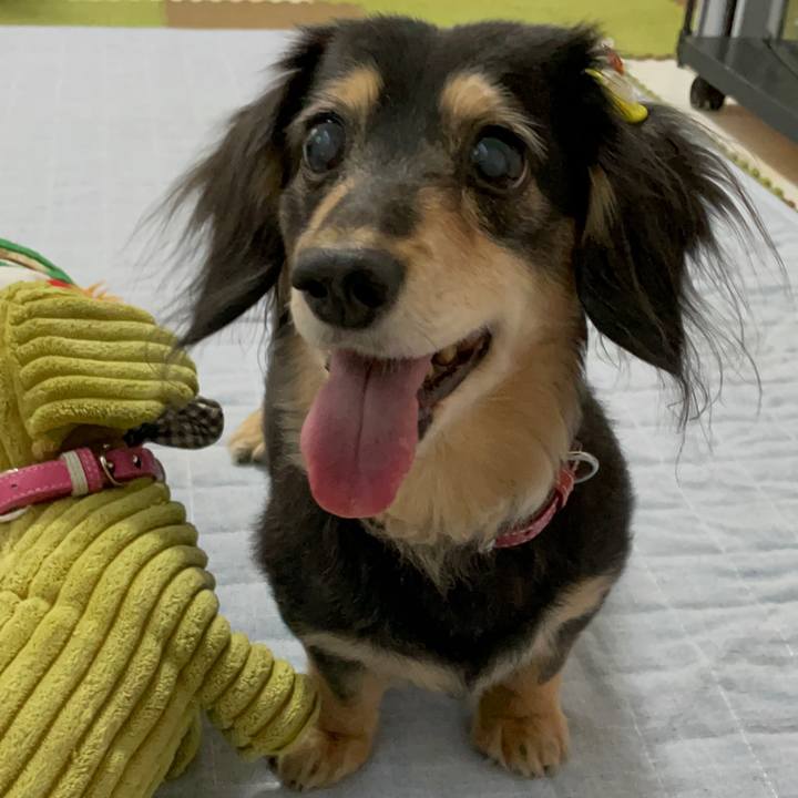 72b00c9b b7fb 4bd5 9684 9bdde4abd6e3 1654287726379