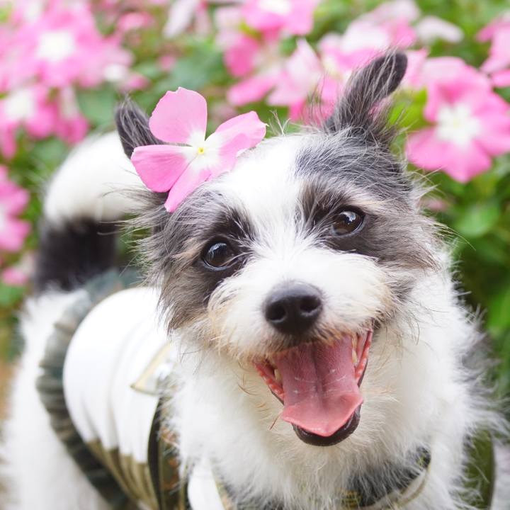 72b03721 169b 4855 a1e9 eb8a8905171f 1565865620882