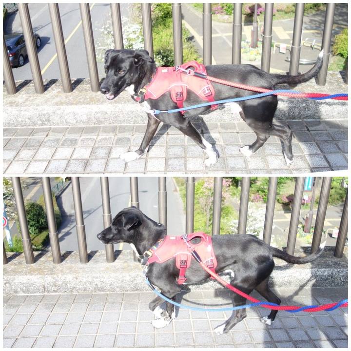 72b039ad ab3b 43c6 a5e0 5c1683cc150e 1587601838680