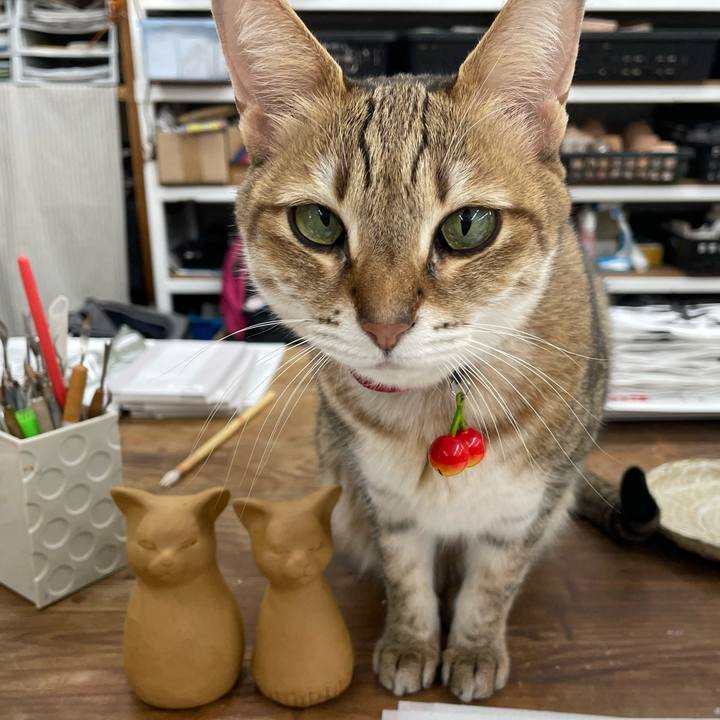 72b04609 c0d2 4a4c 8285 a3130b7ffcb7 1738933834294