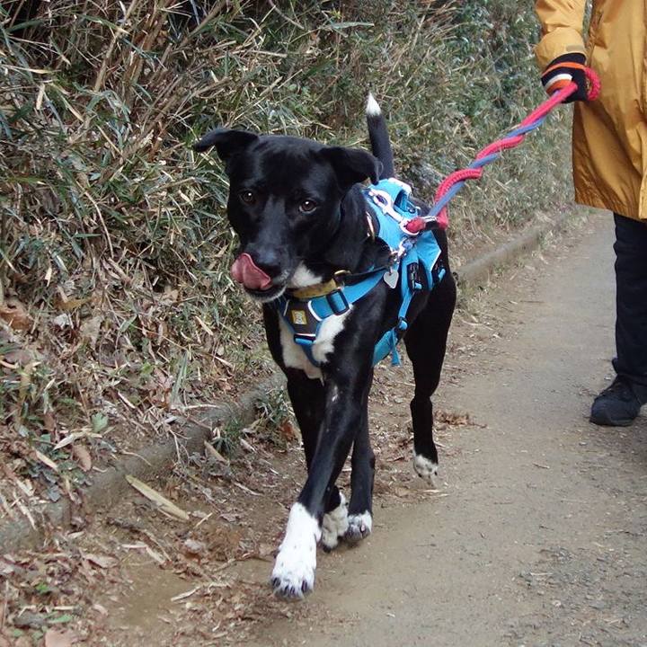 72b09b52 e942 4ba2 a432 d8db0c38907d 1614125554764