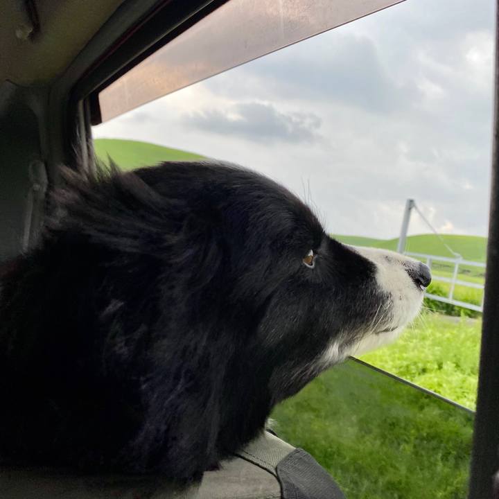 72b0a190 d382 41d3 a455 b4c144fdc9a6 1590389903246