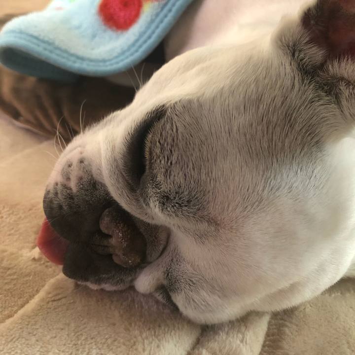 72b0a2b9 00bb 489e 8474 c128bb712d3e 1555745007823