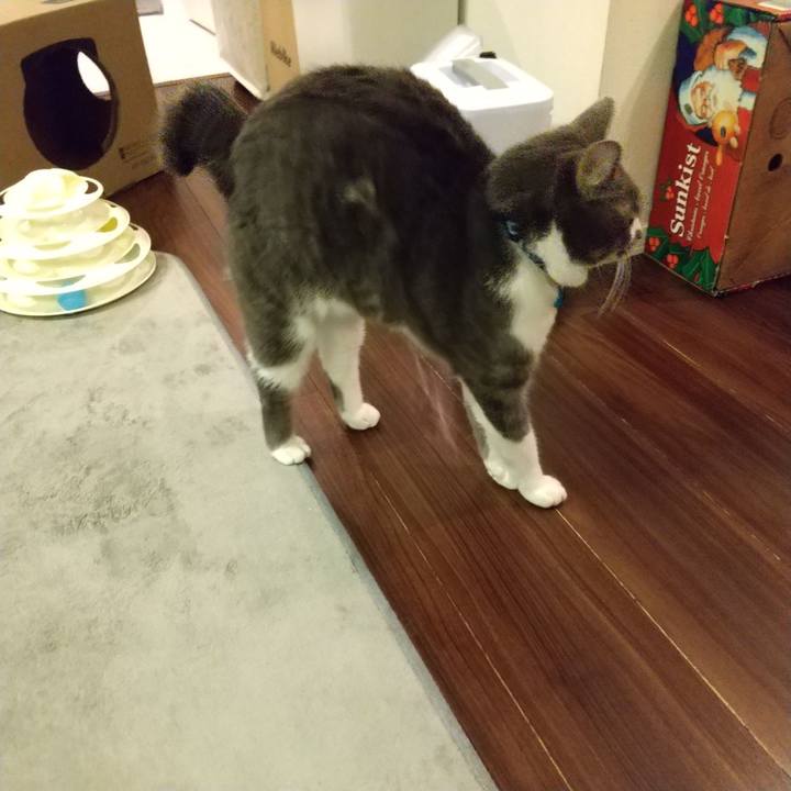 72b0bf8f 42ac 4161 bc88 f1446509c7b6 1611661732214