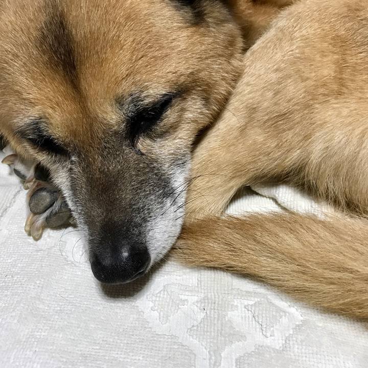 72b0cf4e 9d65 4264 aef4 48082228b173 1507816889668