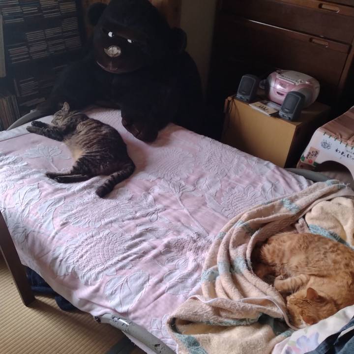 72b0e121 355c 4b9e ba0f 6ecd8e515b5e 1688523916944