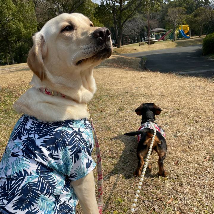 72b0e554 2627 4250 81ee b74c84d591da 1647524899167