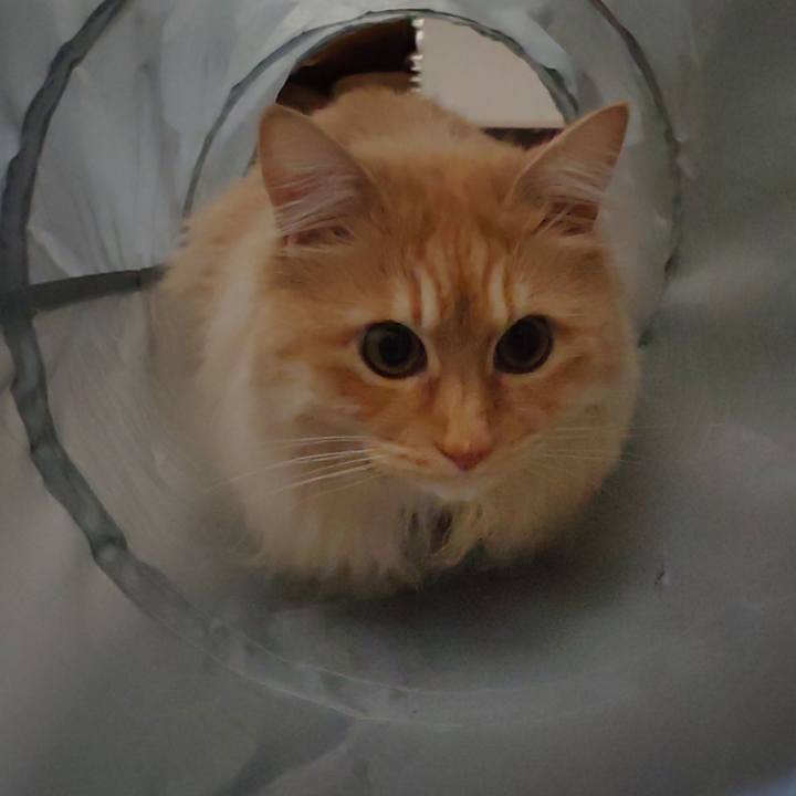 72b14260 68fa 4247 aa70 f4e1d7fc3519 1712017927338