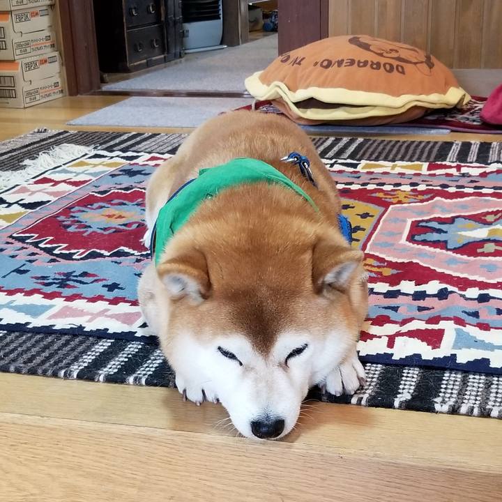 72b16640 707a 42a3 92d0 cf421137bd58 1553302238447