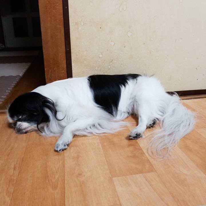 72b19f3d 0e56 4fff 8ce5 1d0d28b5df43 1544009460249