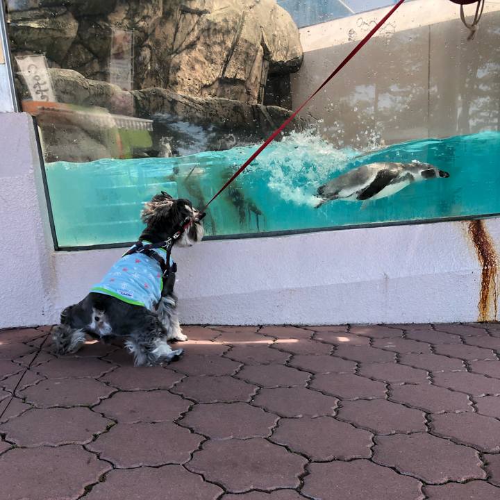 72b1cfff bf62 4fc9 8807 d12a909b08a7 1629005053816