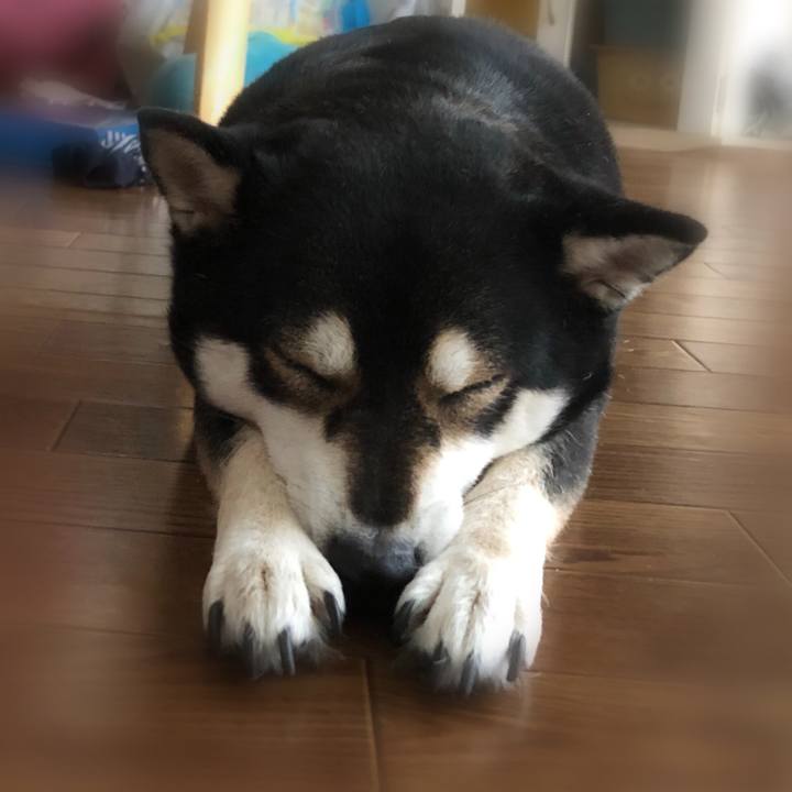 72b1d061 3676 488a b1af 9b25b400104a 1555595665940