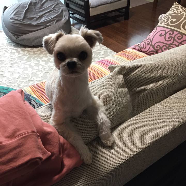 72b20f04 1868 4e78 9626 bcc227b38fda 1549697077794