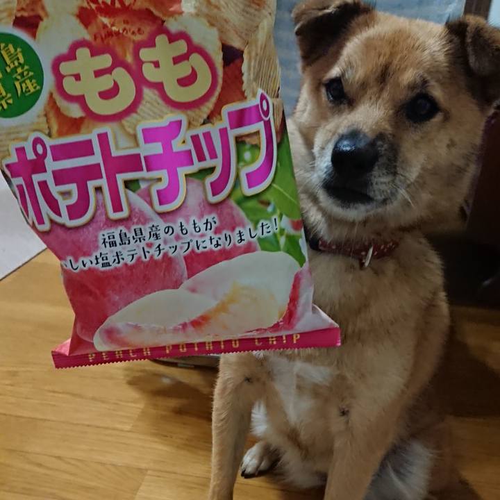 72b220ad 9843 48a0 abc4 23a67c9d503b 1600593743693