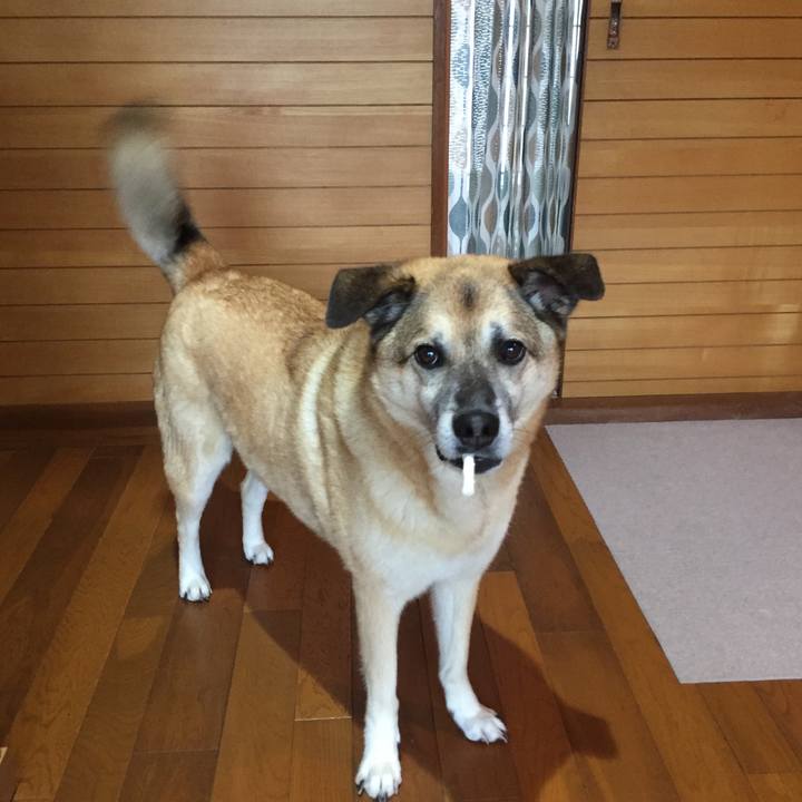 72b25933 3823 460d b04f 822eed2cec0d 1528595801251