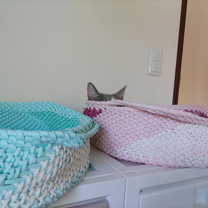 72b267f0 766d 43e0 9d05 38616d9ccf26 1693614328277