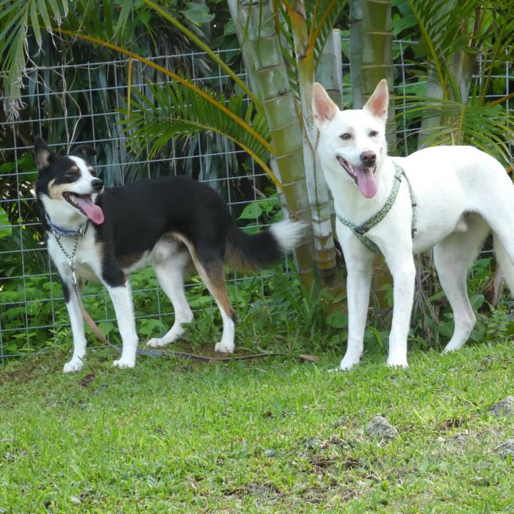 72b27b03 2b48 45d4 b1d8 1c1b97c884d4 1669544789269