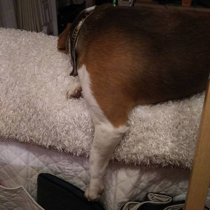 72b28be4 53ab 45b1 b2f4 b50bbf582bd8 1559471039345