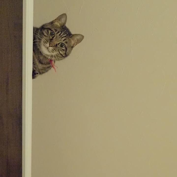 72b2a3e5 5db6 4272 99d4 4ce3b5bb9cc5 1629034409413