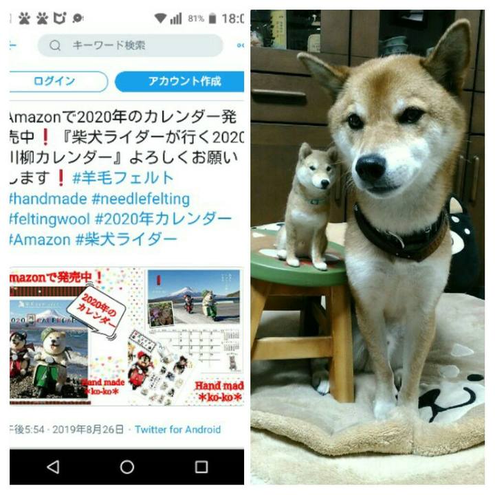 72b2b42f e491 4b8d a590 1215ef0f203d 1566813341820