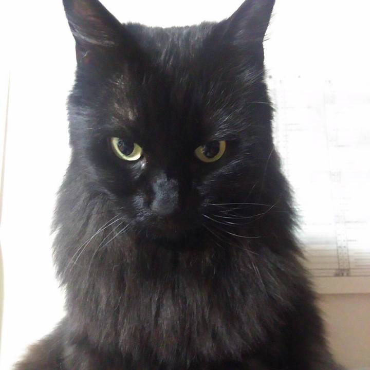 72b2e853 0a69 4e53 a219 97466ab25fb7 1549991514840