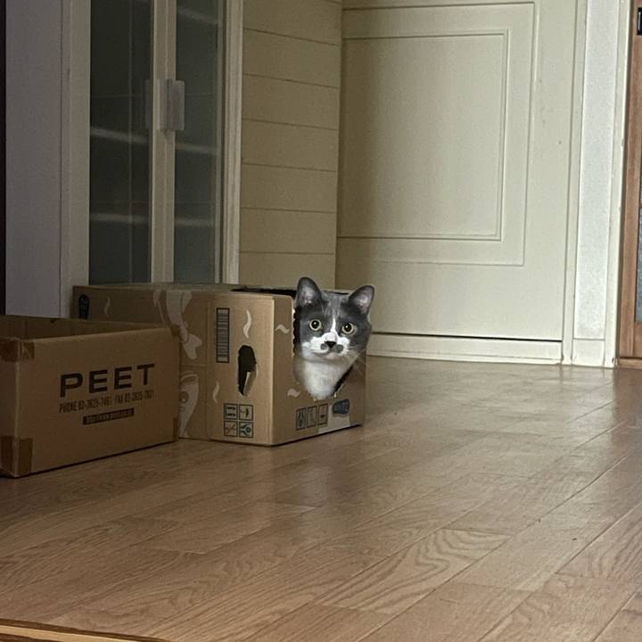 72b2fdea e023 4ecb 9c00 331979333c5b 1749544607157