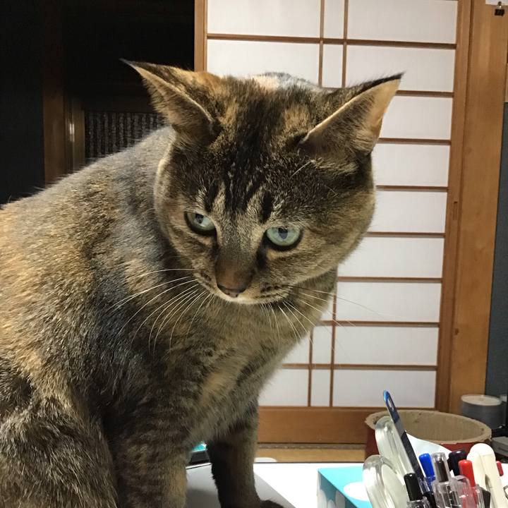 72b30dc0 b160 4d35 92ed 59daf3b980e6 1699880013736