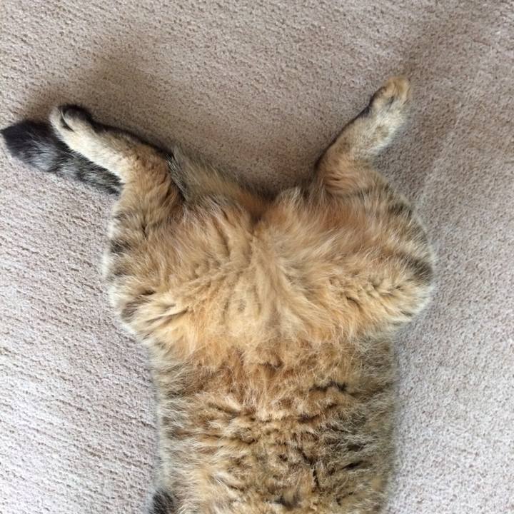 72b35052 e716 4300 a406 9174e0d77ce1 1594892636022