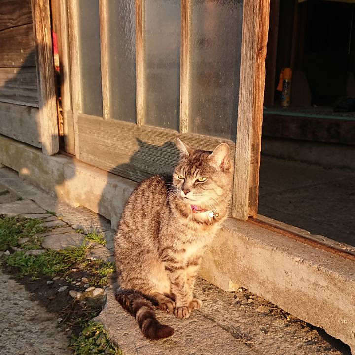 72b393a6 b83f 4bbb bcfd 145d276907e7 1583272376414