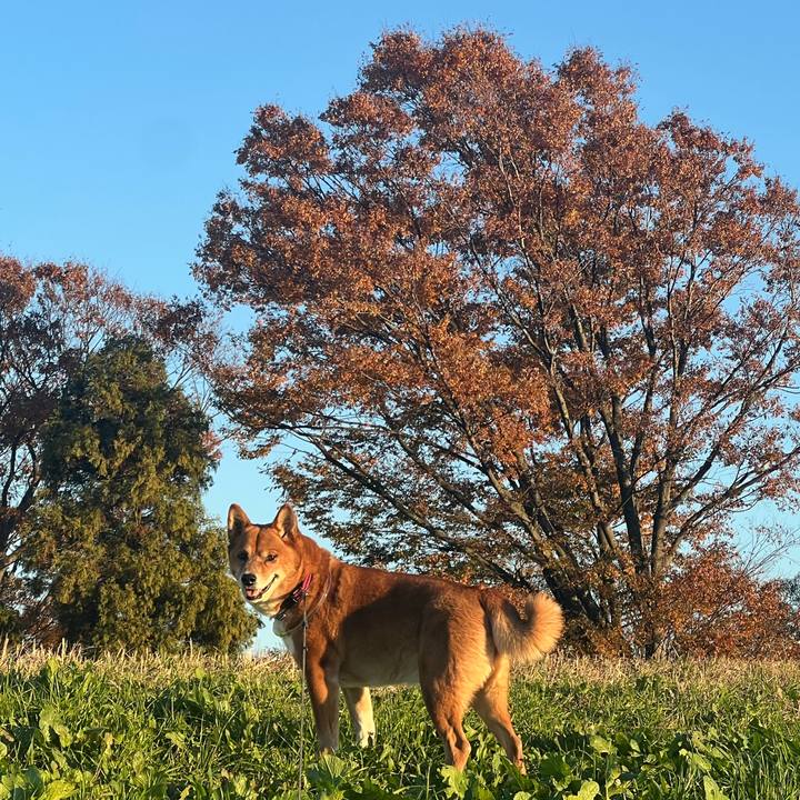 72b3991f 81a3 4b7c 8ecd fde09a840849 1733040513810