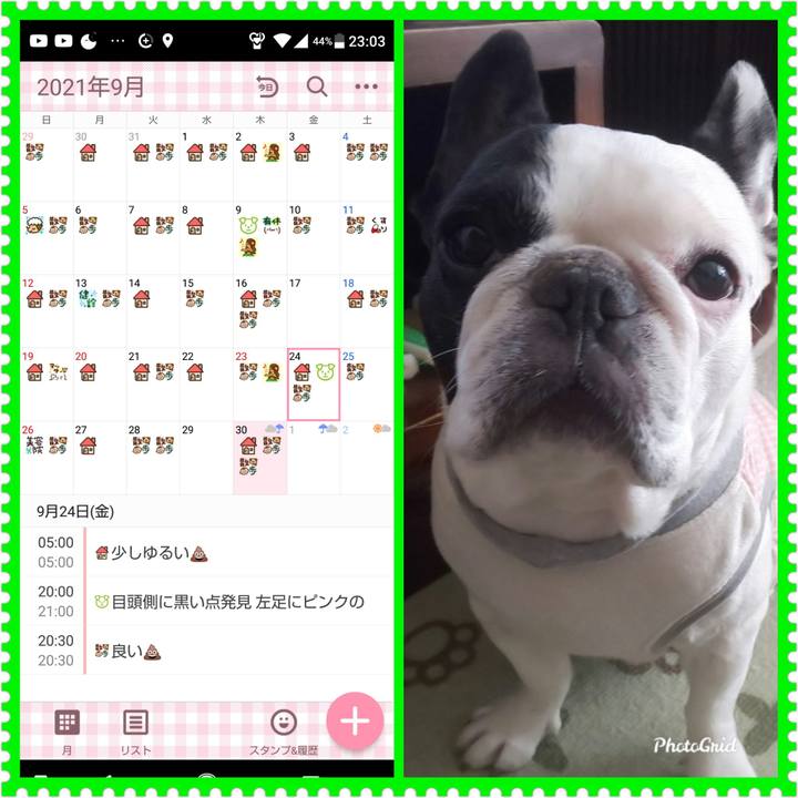 72b3b180 e2d6 4fef 9fb1 ed0364cabf6d 1633012875457