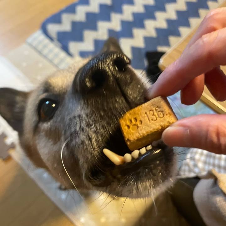 72b3f44d d96f 4313 9a7c 0f155c7b10d1 1667824597261