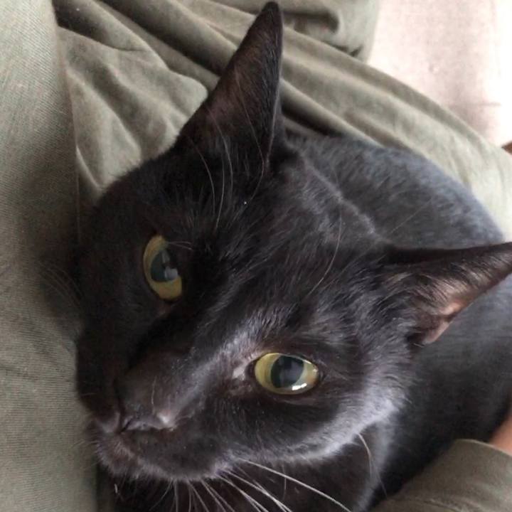 72b40675 52e4 411c a52a e5c389ce60e1 1670106012166