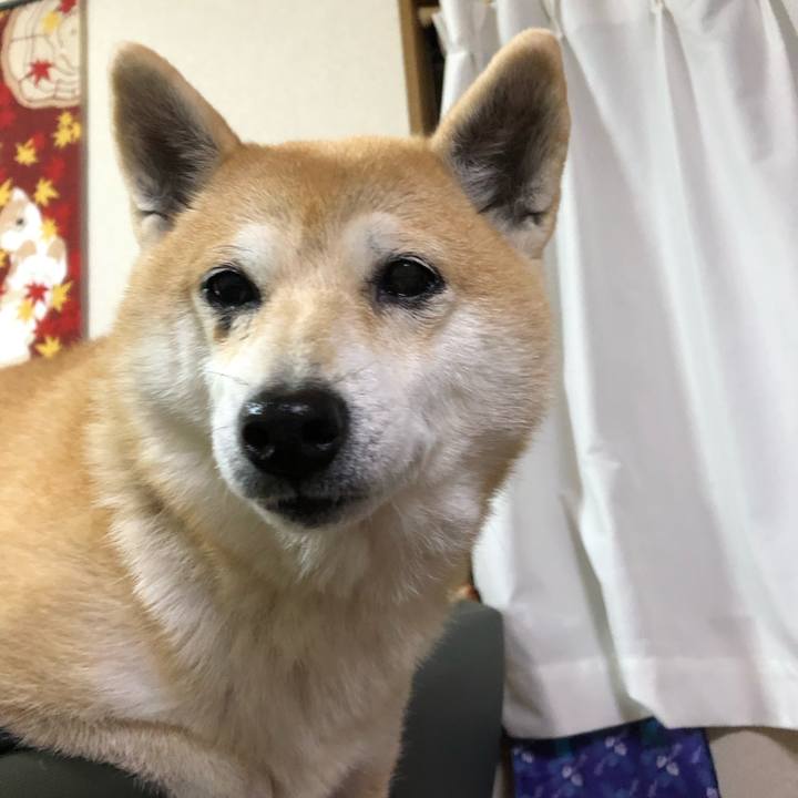 72b47d20 6cc4 426d 8ed3 1f6f867f45f2 1575416596732