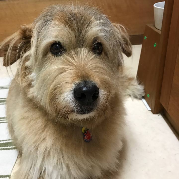 72b4b833 4876 45cb 979f cf951cf34a65 1559944222025