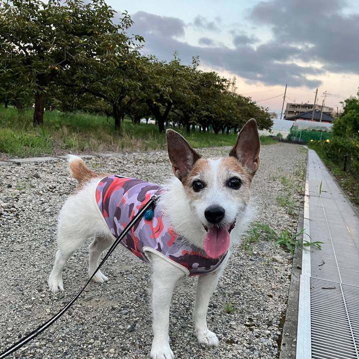 72b4cb96 25a5 4149 8f12 d7659648cf33 1724460340488