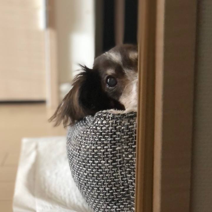 72b4f023 7884 4d30 be50 526a5a37f19d 1622588447511