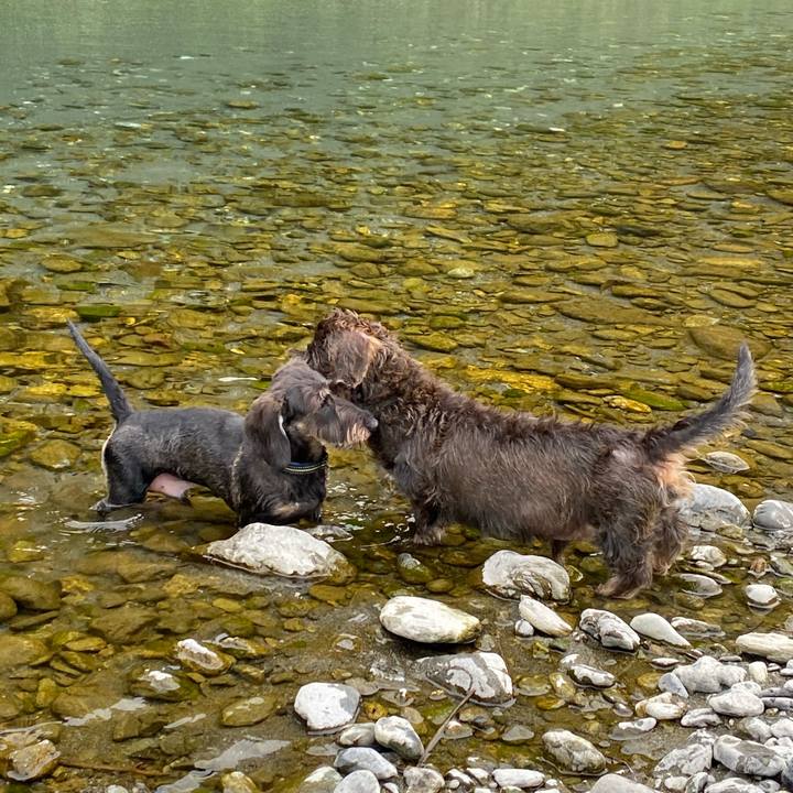 72b53531 ba9b 48f4 8e80 151f579bcc58 1600754149578