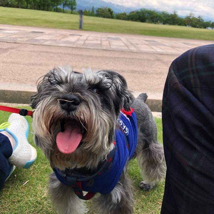 72b58b21 b870 4a5f bd67 36a10b2537f9 1622367678179